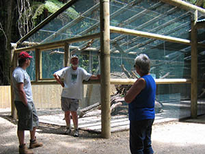 mesh aviary